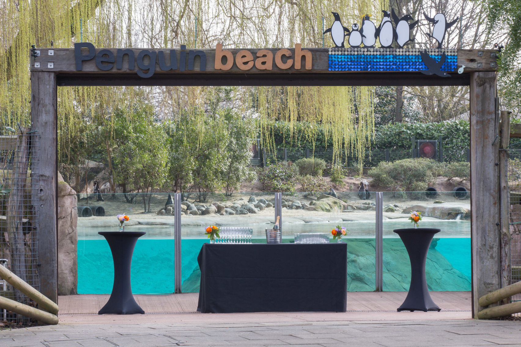 Book Penguin Beach, ZSL London Zoo (London) – HeadBox